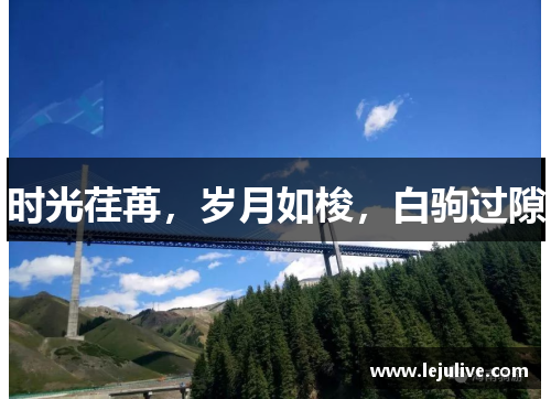 时光荏苒，岁月如梭，白驹过隙