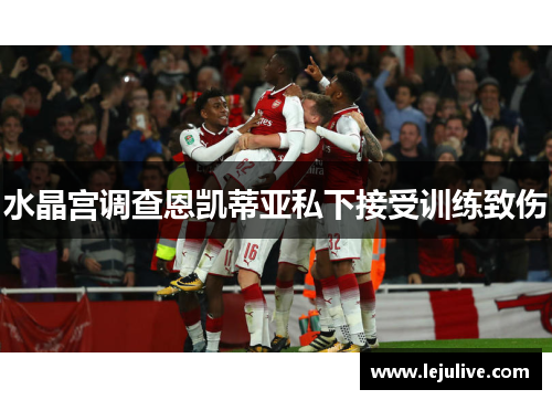 水晶宫调查恩凯蒂亚私下接受训练致伤